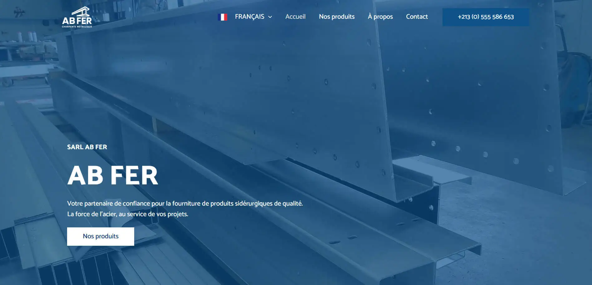 e-commerce site development Algiers Algeria