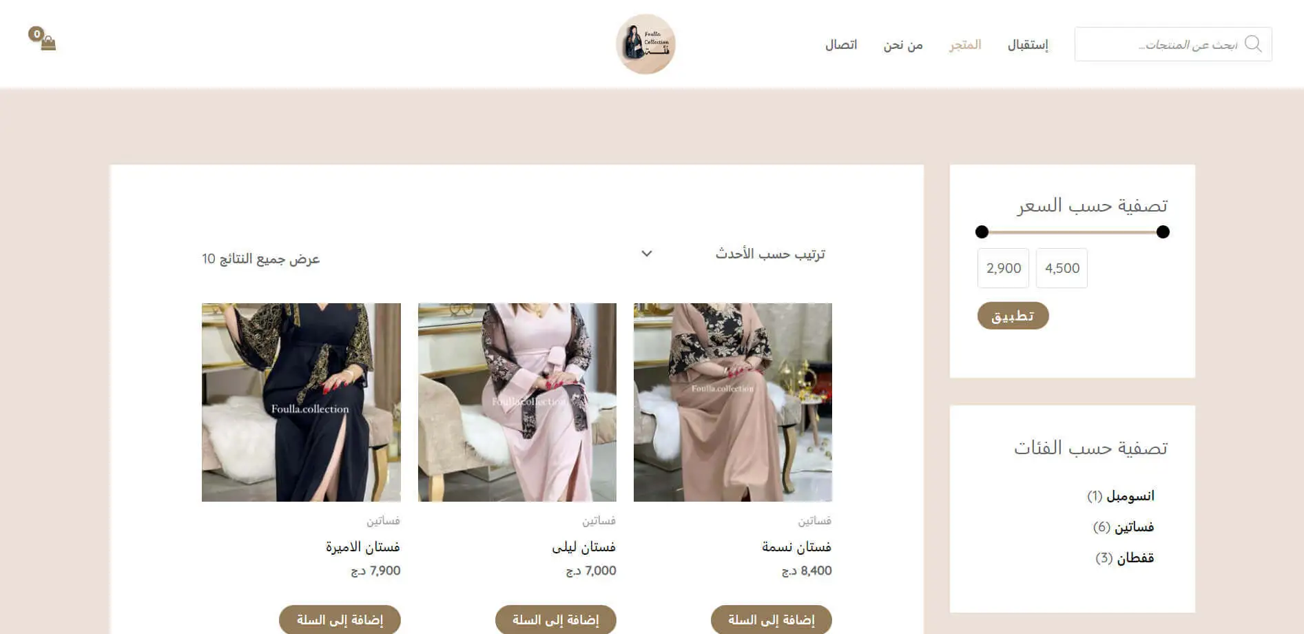 e-commerce site development Algiers Algeria